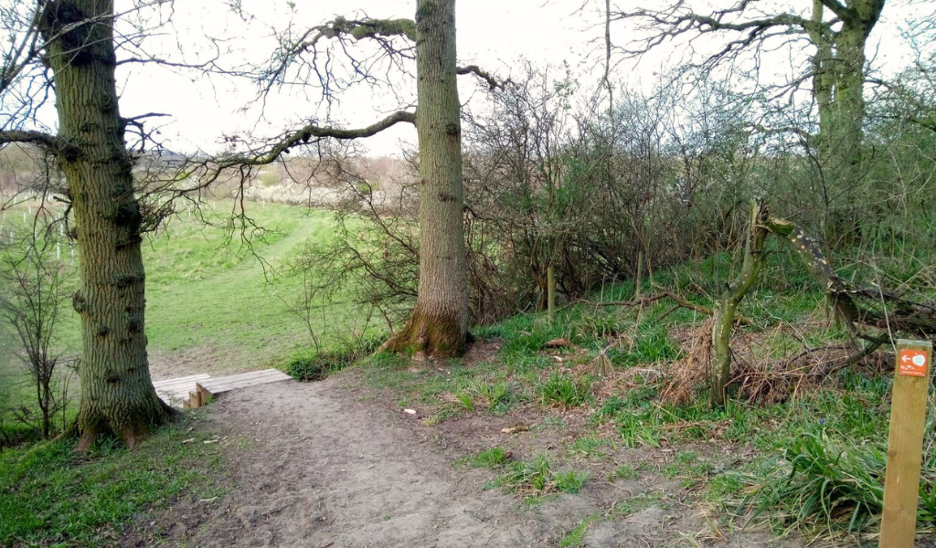 morgrove-coppice-wild-walk-heart-of-england-forest